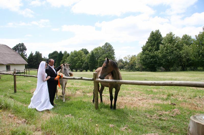 Johan & Liezel Wedding Shoot103.JPG